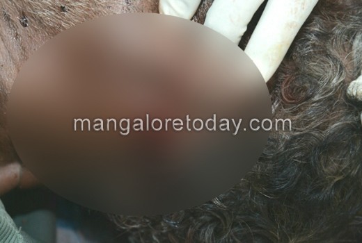 Man found dead near Central Market 1